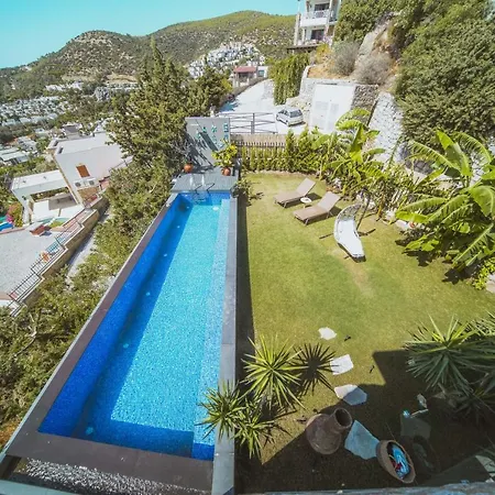 Gorgeous Mansion With Breathtaking Sea View, Pool And Jacuzzi Villa *
